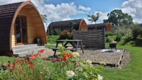 Mallow Glamping Pod